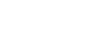 logo 20